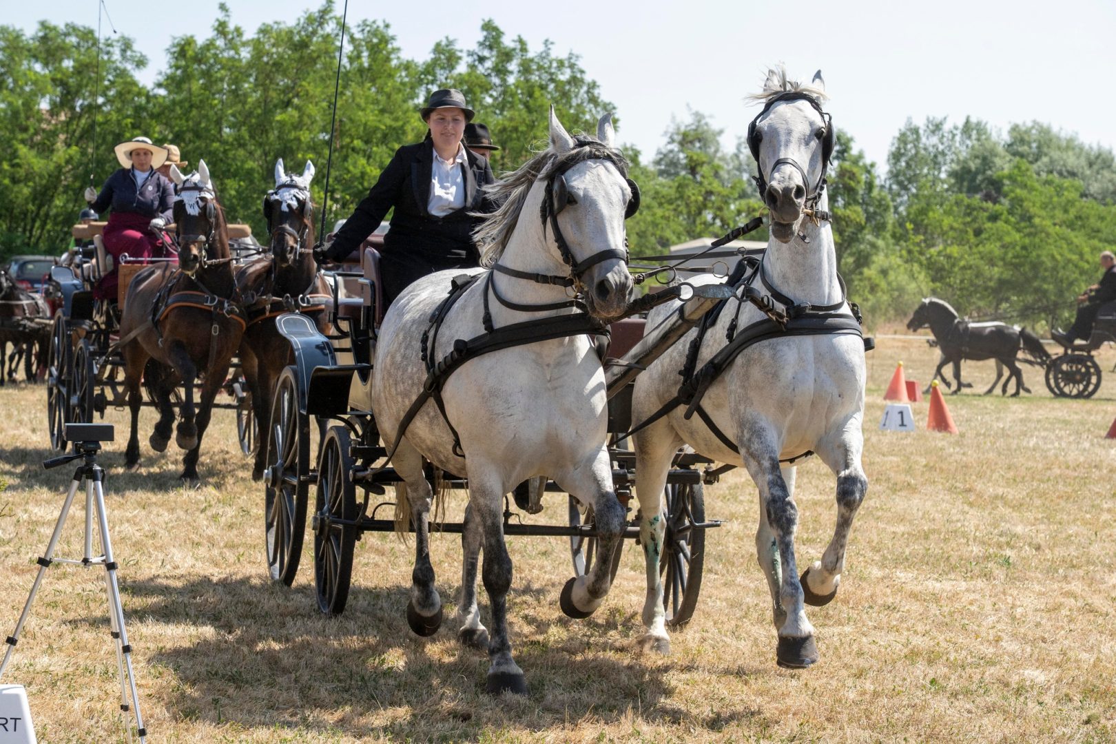 Látványos fogathajtó verseny volt a hétvégén
