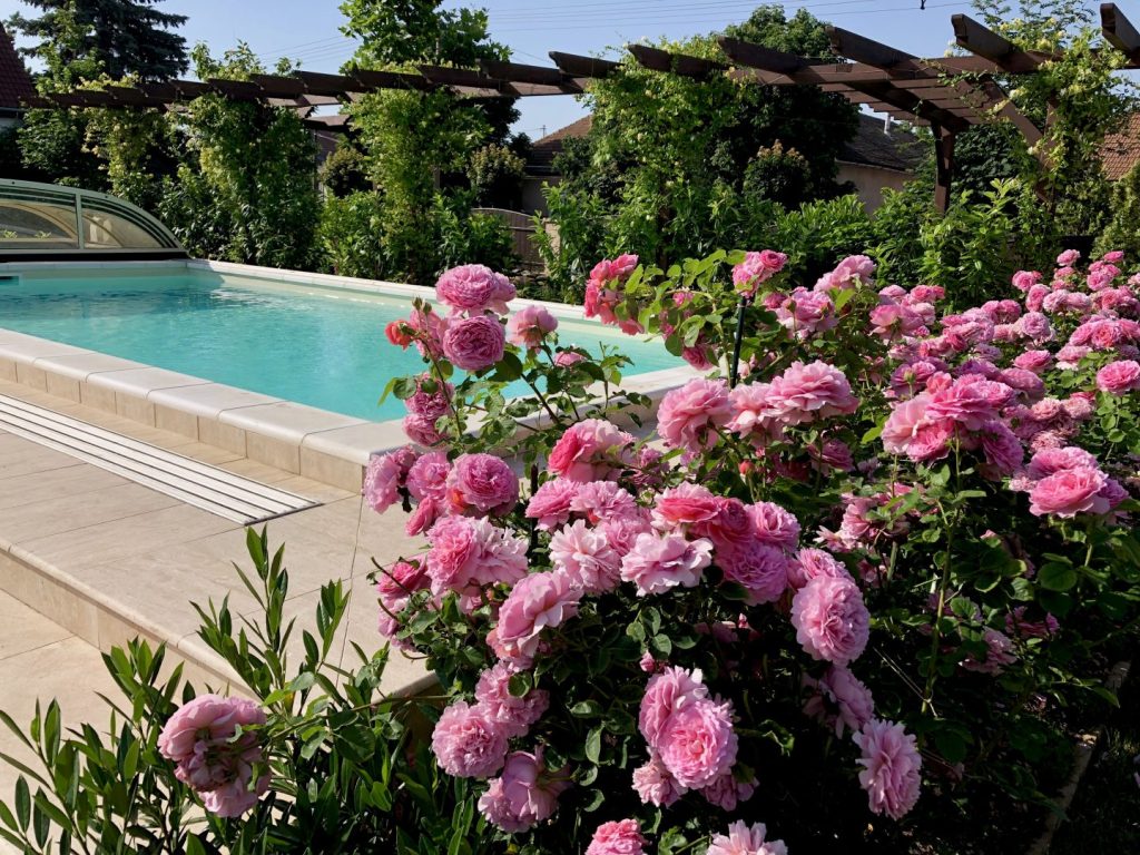 Villa Aquila