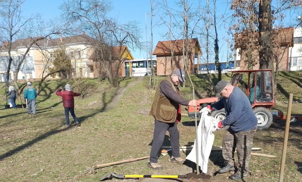 Új jövevények a Ligetben